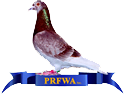 Pigeon Racing Federation of WA logo Pigeon Racing Federation of WA logo